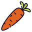Carrot icon 64x64