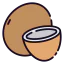 Coconut icon 64x64