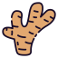 Ginger icon 64x64