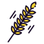 Grain icône 64x64