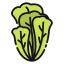 Lettuce icon 64x64