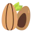 Almond icon 64x64