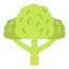Broccoli icon 64x64