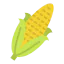 Corn icon 64x64