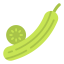 Cucumber icon 64x64