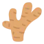 Ginger icon 64x64