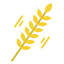 Grain icône 64x64