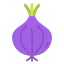 Onion icon 64x64