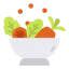 Salad icon 64x64