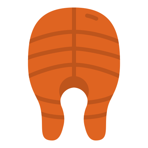 Salmon icon
