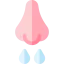 Runny nose icon 64x64