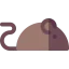 Mouse icon 64x64