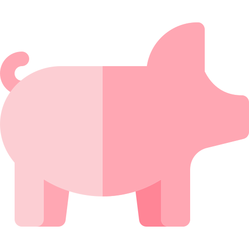 Pig icon