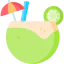 Coconut icon 64x64