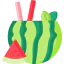 Watermelon icon 64x64
