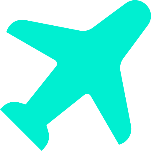 Flight icon
