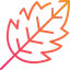 Лист иконка 64x64