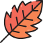Лист иконка 64x64