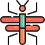 Insect icon 64x64
