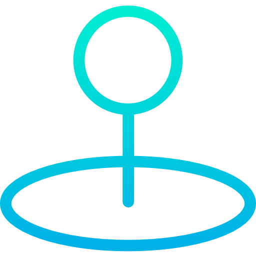 Pin icon