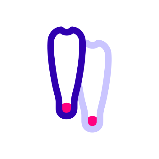Flippers icon