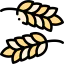 Grain icône 64x64