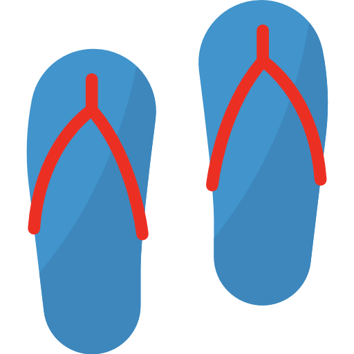 Flip flops icon