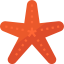 Starfish icon 64x64