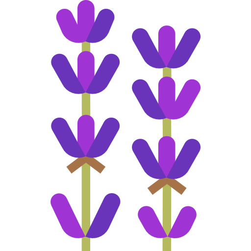 Lavender icon