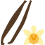 Vanilla biểu tượng 64x64