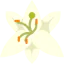 Lily icon 64x64