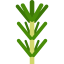 Rosemary icon 64x64