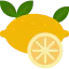 Lemon icon 64x64
