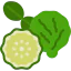 Bergamot icon 64x64