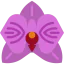 Orchid icon 64x64