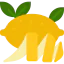 Lemon icon 64x64