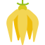 Ylang-ylang icon 64x64