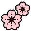 Sakura icon 64x64
