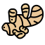 Ginger icon 64x64