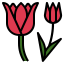 Tulip icon 64x64
