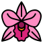 Orchid icon 64x64