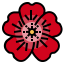 Geranium icon 64x64