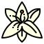 Lily icon 64x64