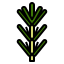 Rosemary icon 64x64