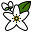 Neroli icon 64x64