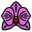 Orchid icon 64x64