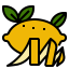 Lemon icon 64x64