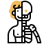 Physiology Ikona 64x64