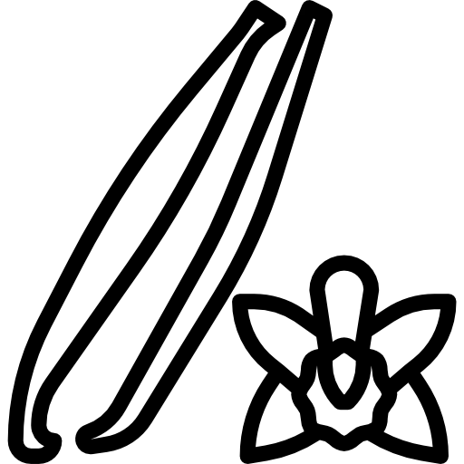 Vanilla icon