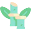 Bamboo icon 64x64